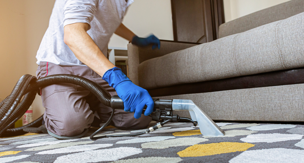 Carpet Cleaning Companies: Choose The One For You