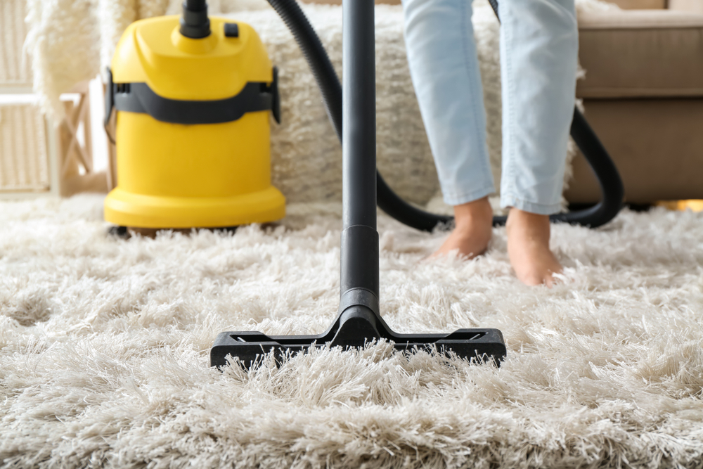 Different Types Of Carpet And How You Clean Them