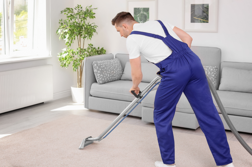 What To Look For In A Carpet Cleaning Company