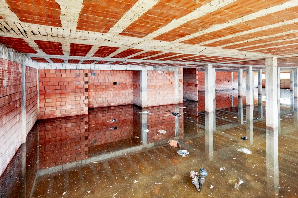 Why You Need To Hire A Profession In Case Of A Basement Flood