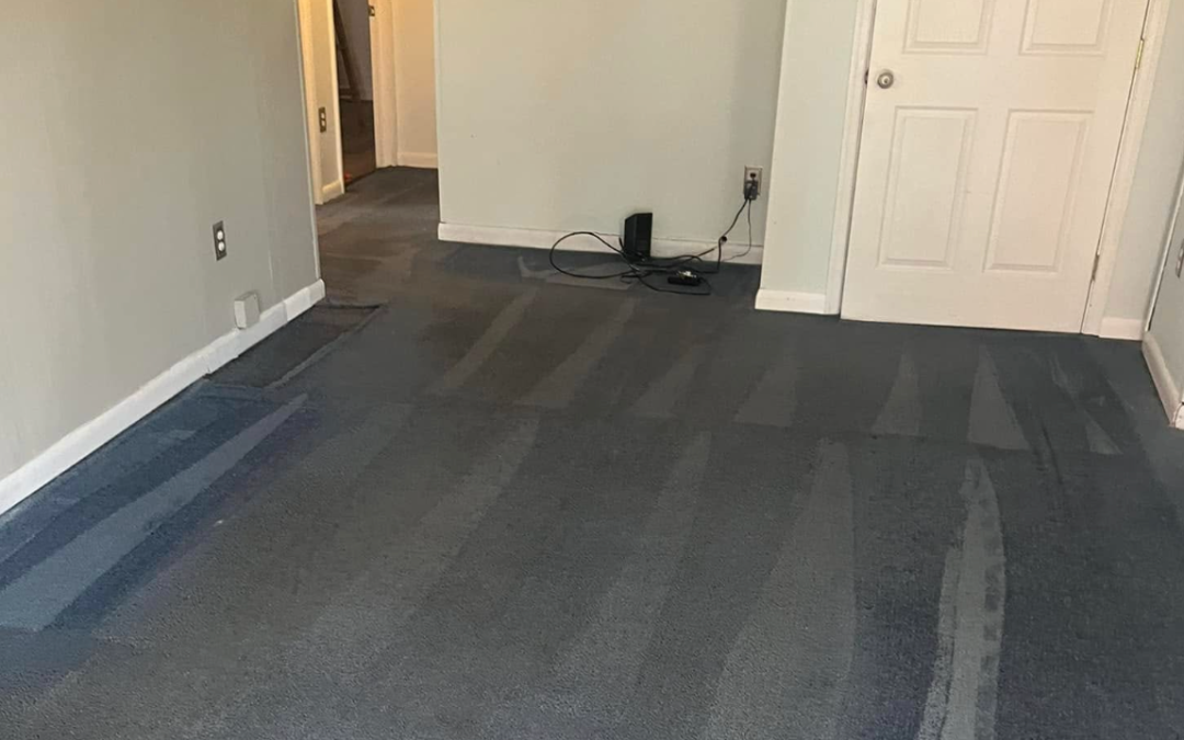 Carpet Cleaning Myths Busted: What Really Works (and What Doesn’t!)