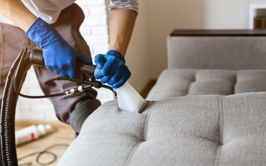 A person wearing blue gloves cleaning a grey upholstered sofa with a steam cleaning machine.