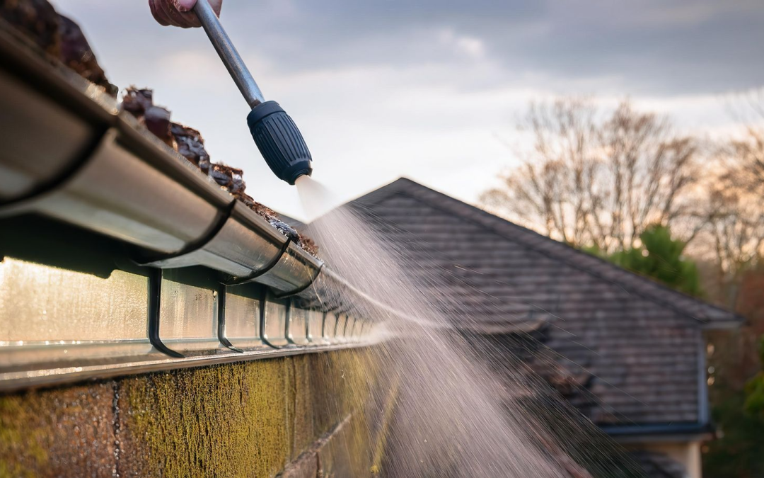 5 Signs Your Roof Needs a Good Cleaning—And Why You Shouldn’t Wait