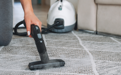 4 Reasons Why Professional Carpet Cleaning Transforms Your Home