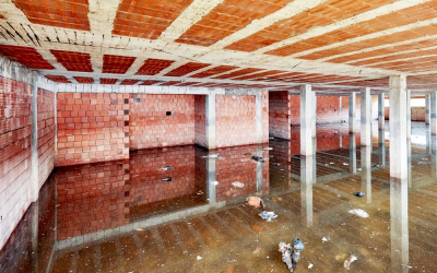 Why You Need To Hire A Profession In Case Of A Basement Flood