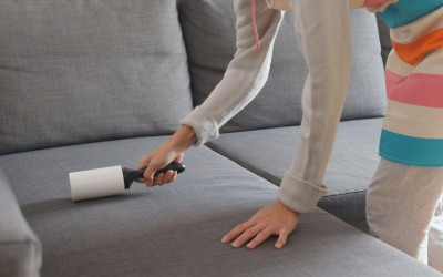 How Do You Clean A Fabric Sofa?