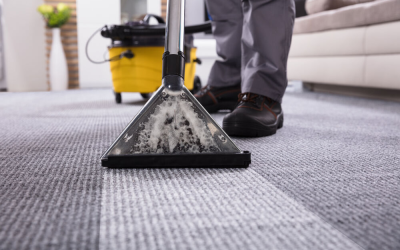 Why Do I Need a Professional Carpet Cleaner?