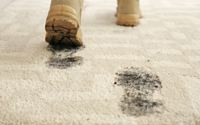 Your Carpets Might Be Dirtier Than You Think—Here’s When to Call in the Pros