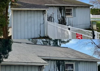 Side-by-side view of a house before and after vine removal from its blue siding and white fence.