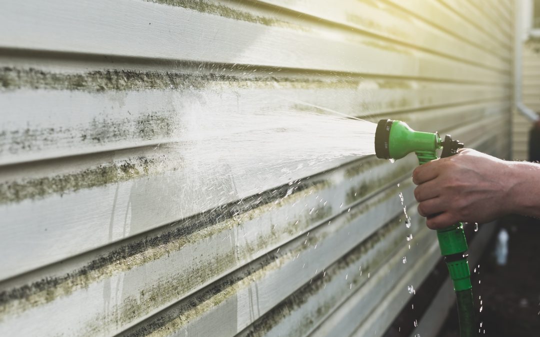 Why That Green Stuff on Your Siding Isn’t Just Ugly—It’s Algae